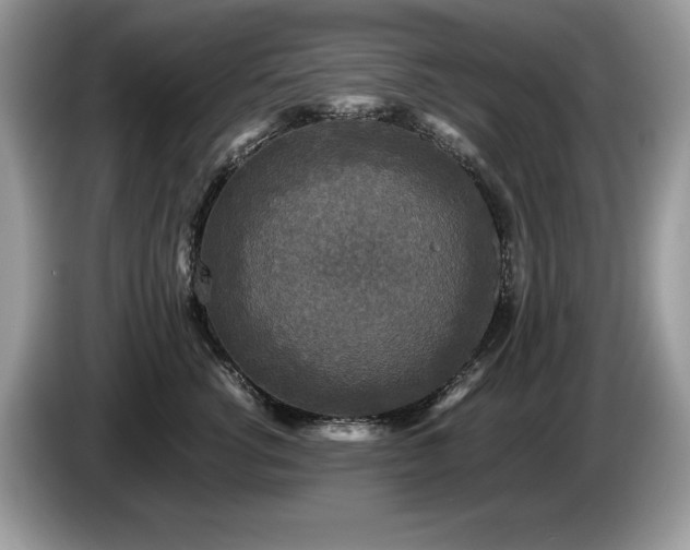 X0000087580762200704271305