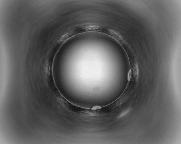 X0000087580763200704271305