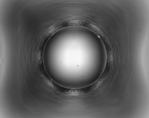X0000087580764200704271305