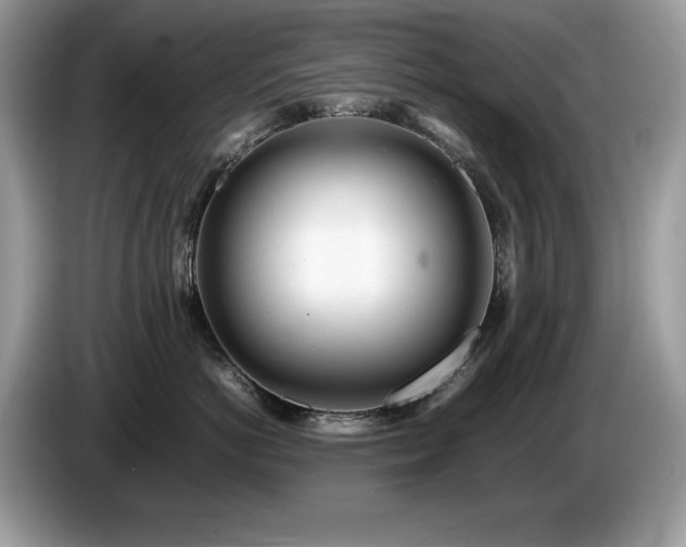 X0000087580766200704271305