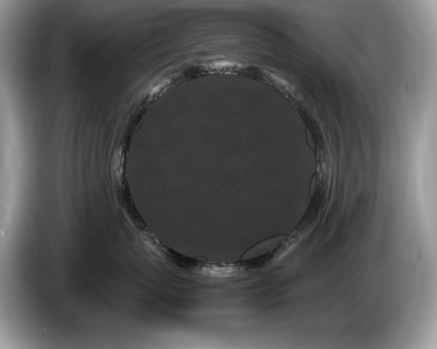 X0000087580767200704271305