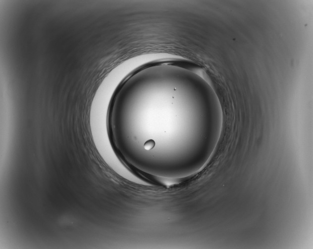X0000087580768200704271305