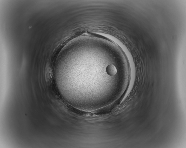 X0000087580772200704271304