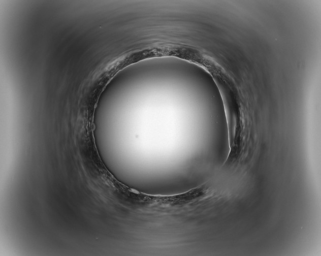 X0000087580773200704271304