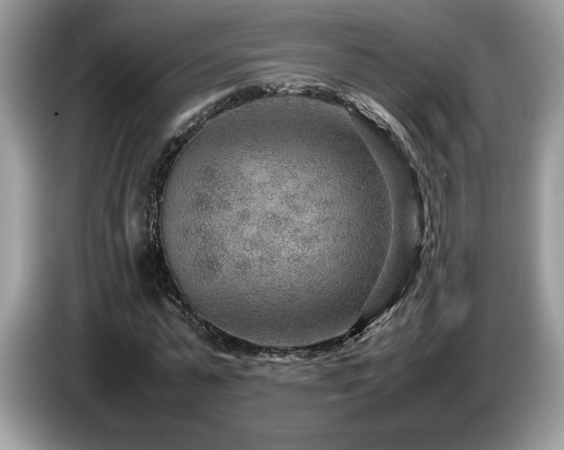 X0000087580775200704271304