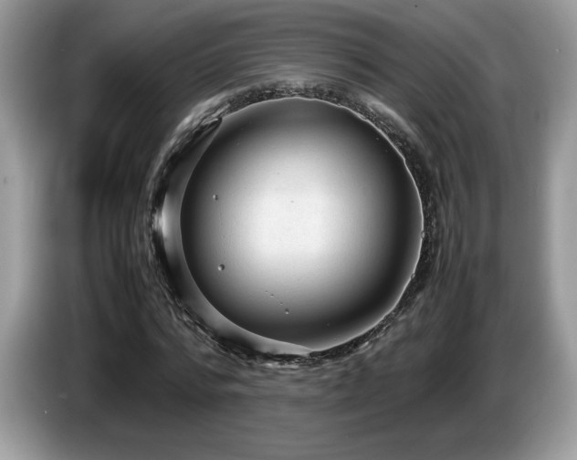 X0000087580776200704271304