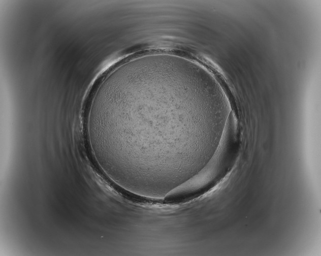 X0000087580779200704271304