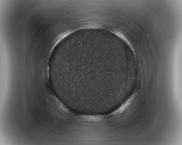 X0000087580781200704271304