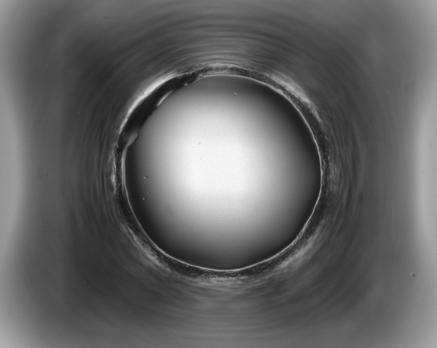 X0000087580782200704271304