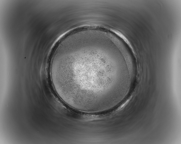 X0000087580783200704271304