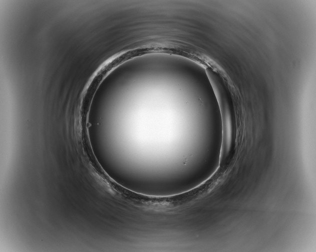 X0000087580784200704271304