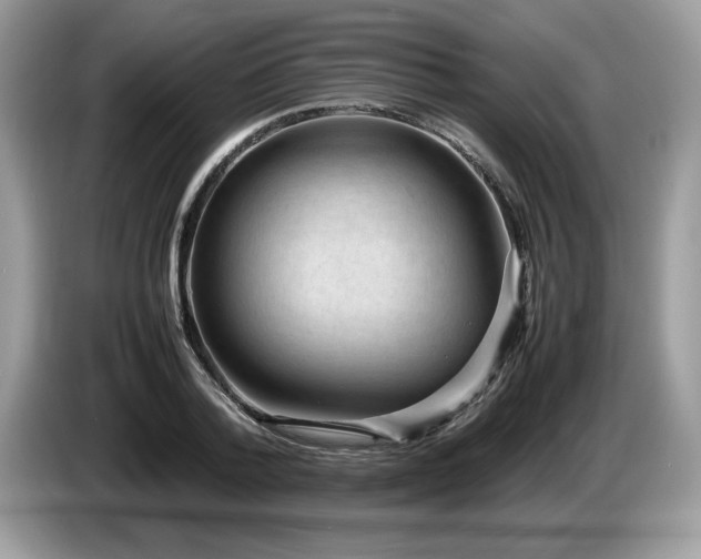 X0000087580788200704271304