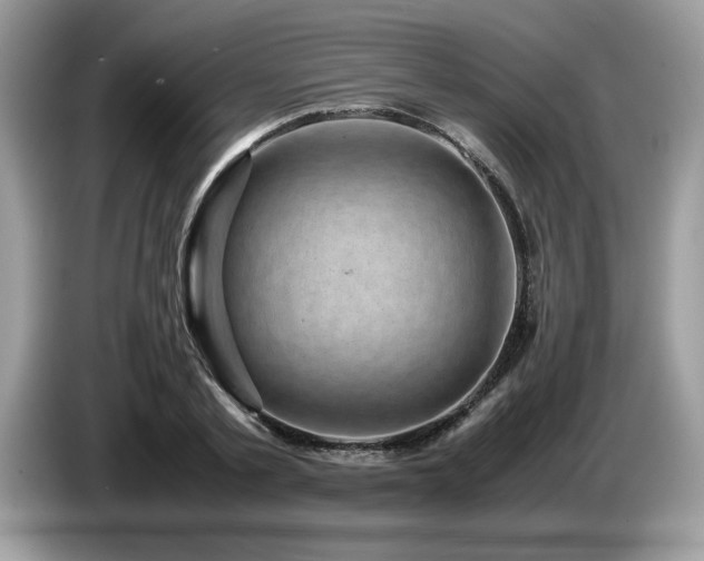 X0000087580789200704271304
