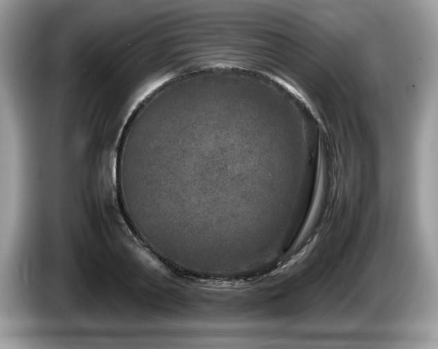X0000087580790200704271304
