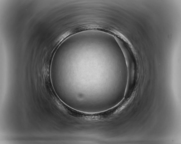 X0000087580793200704271304