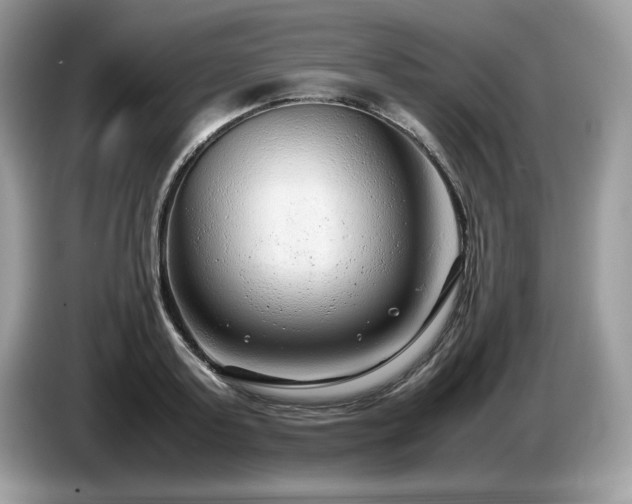 X0000087580795200704271304