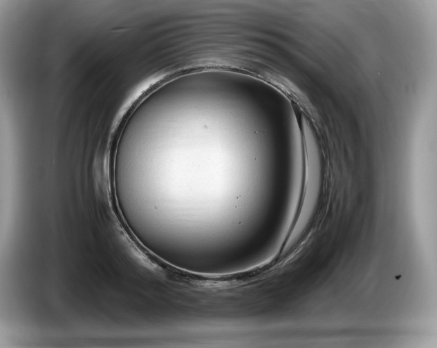 X0000087580796200704271304