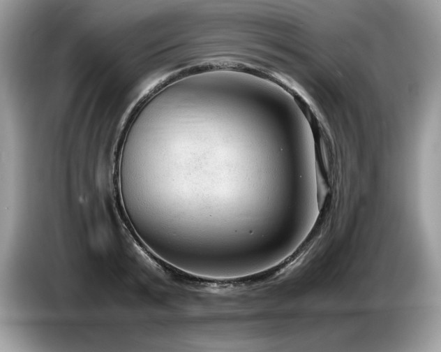 X0000087580799200704271304