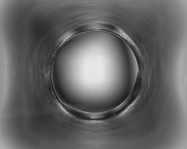 X0000087580801200704271304