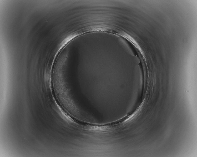 X0000087580802200704271304