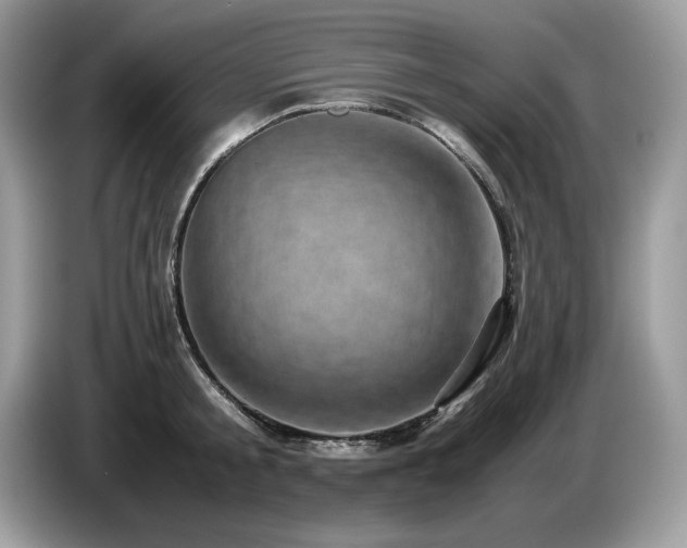 X0000087580805200704271304