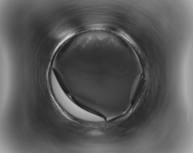 X0000087580806200704271304
