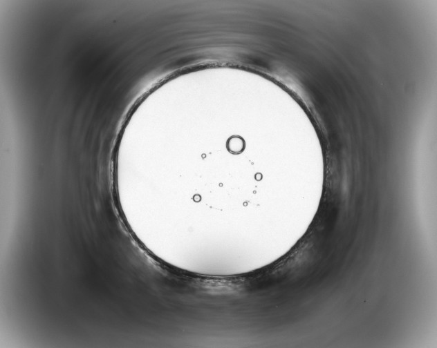 X0000087580807200704271304