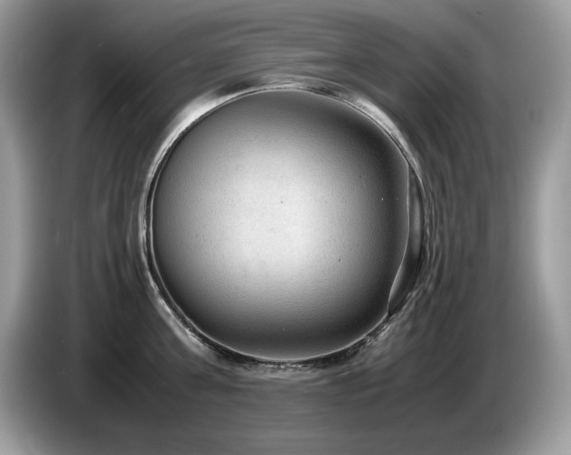 X0000087580811200704271304