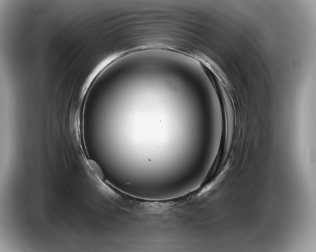 X0000087580812200704271304