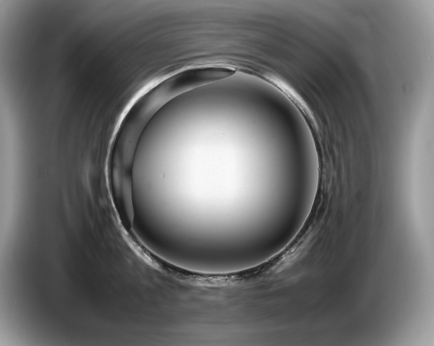 X0000087580813200704271304