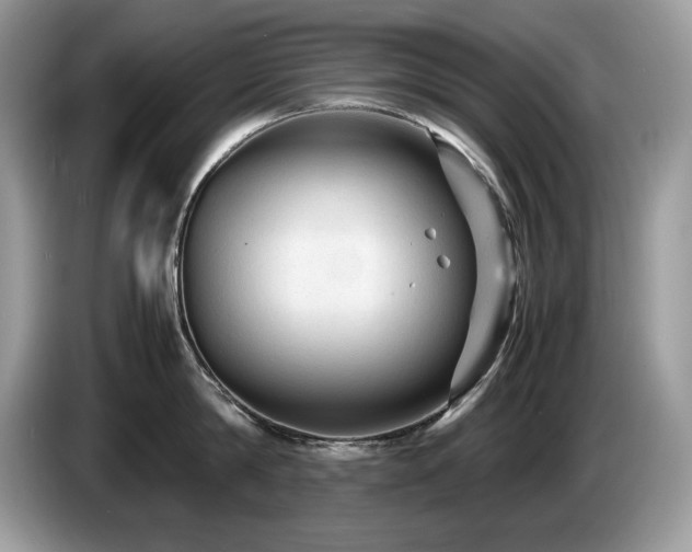 X0000087580814200704271304