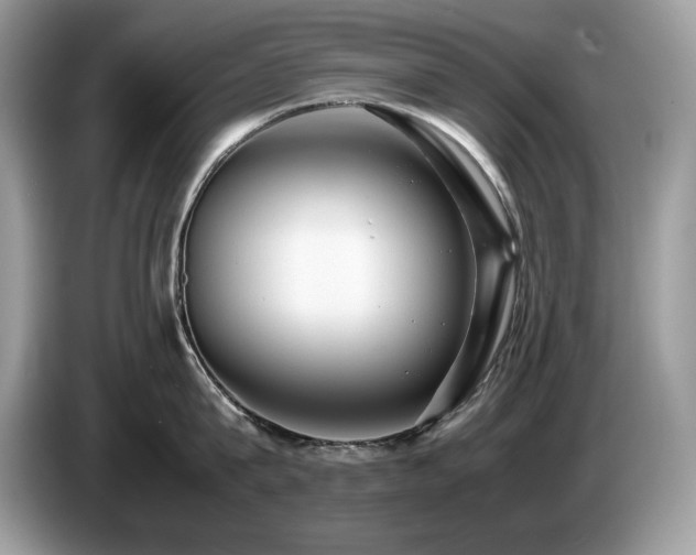 X0000087580815200704271304