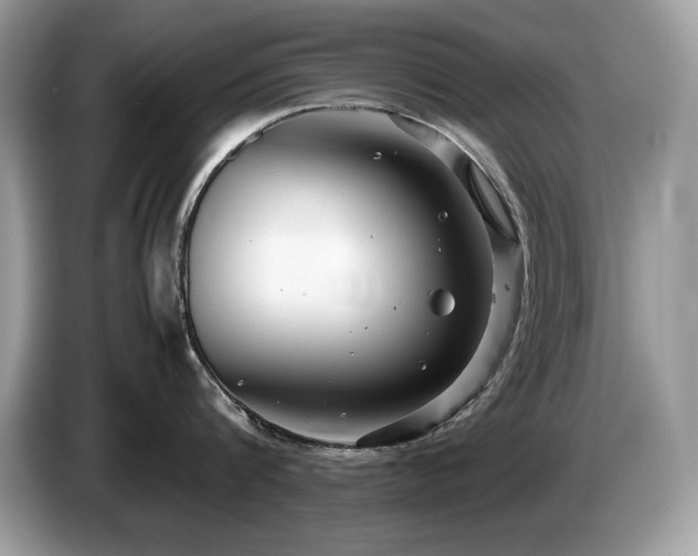 X0000087580816200704271304
