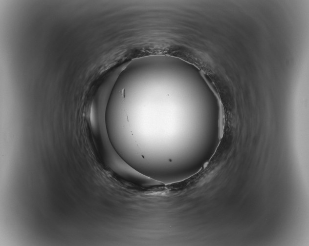 X0000087580818200704271303