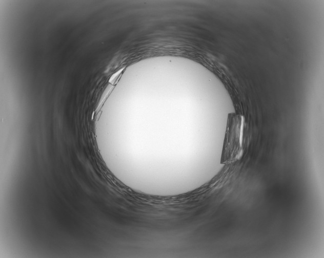 X0000087580820200704271303