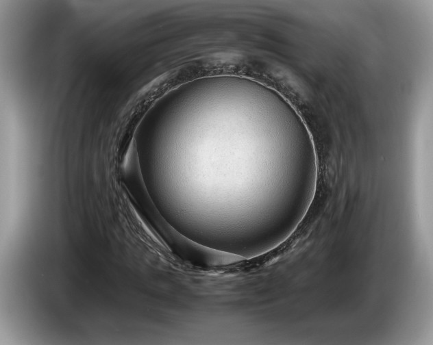 X0000087580821200704271303