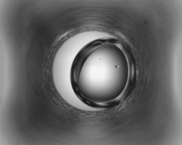 X0000087580822200704271303