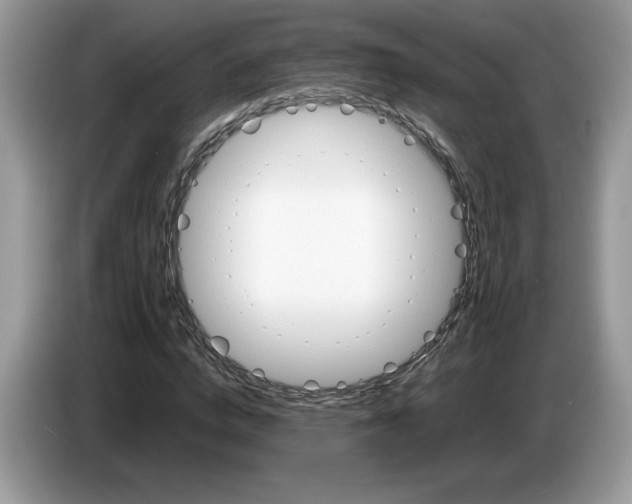 X0000087580824200704271303
