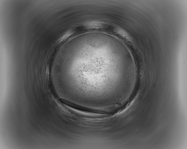 X0000087580825200704271303