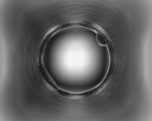 X0000087580826200704271303