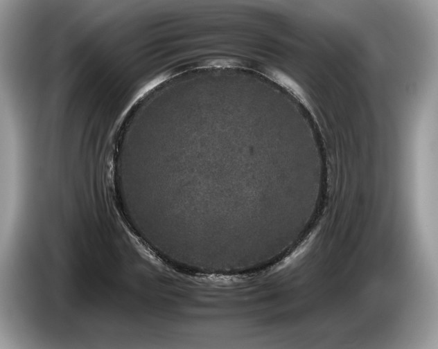 X0000087580827200704271303