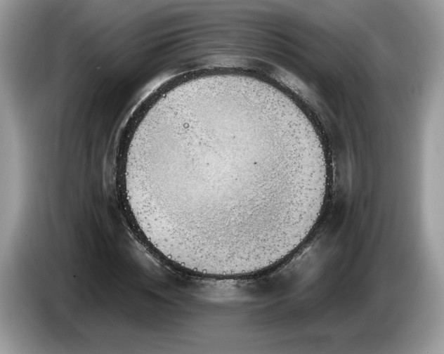 X0000087580828200704271303