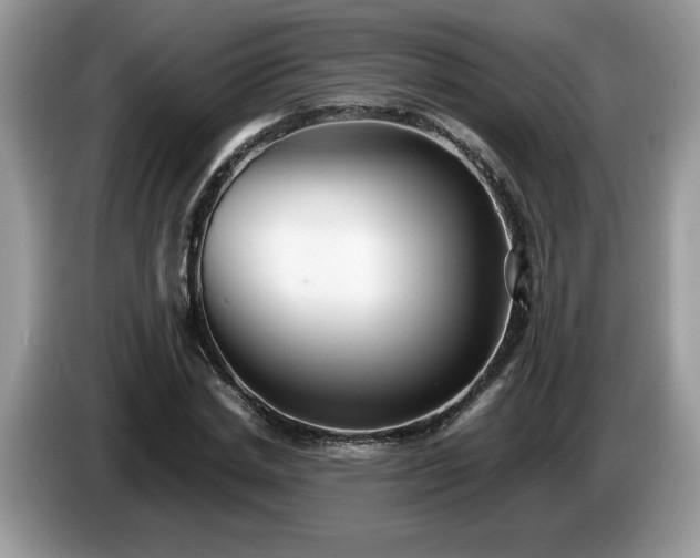 X0000087580830200704271303