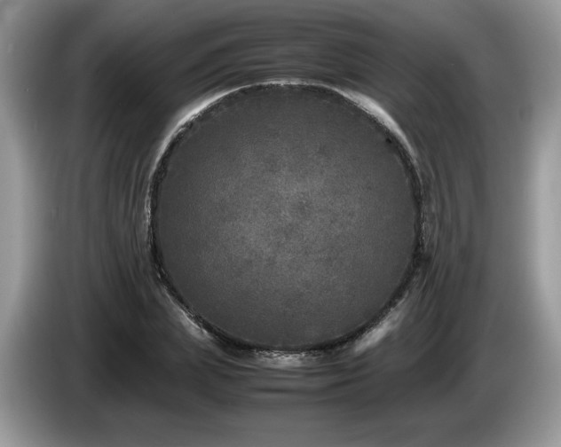 X0000087580831200704271303