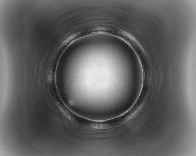 X0000087580833200704271303