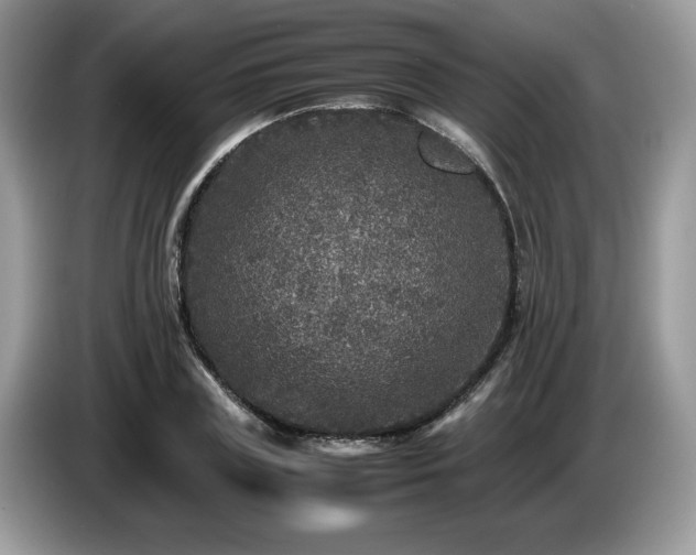 X0000087580835200704271303