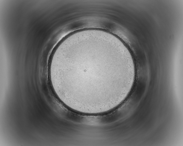 X0000087580836200704271303