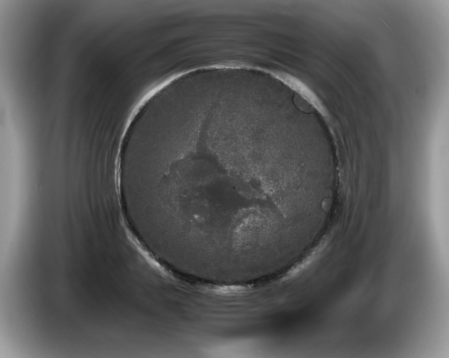 X0000087580839200704271303