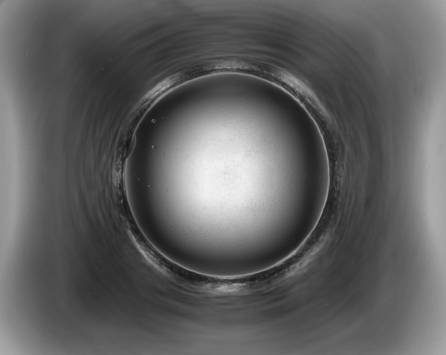 X0000087580841200704271304