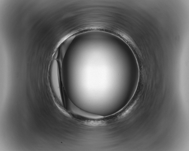 X0000087580842200704271304